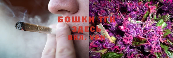 не бодяженный Белокуриха